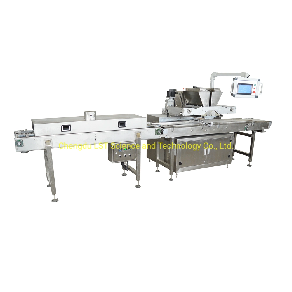 Block Chips Lst Biscuit Machinery Chocolate Production Line 3D Decorating