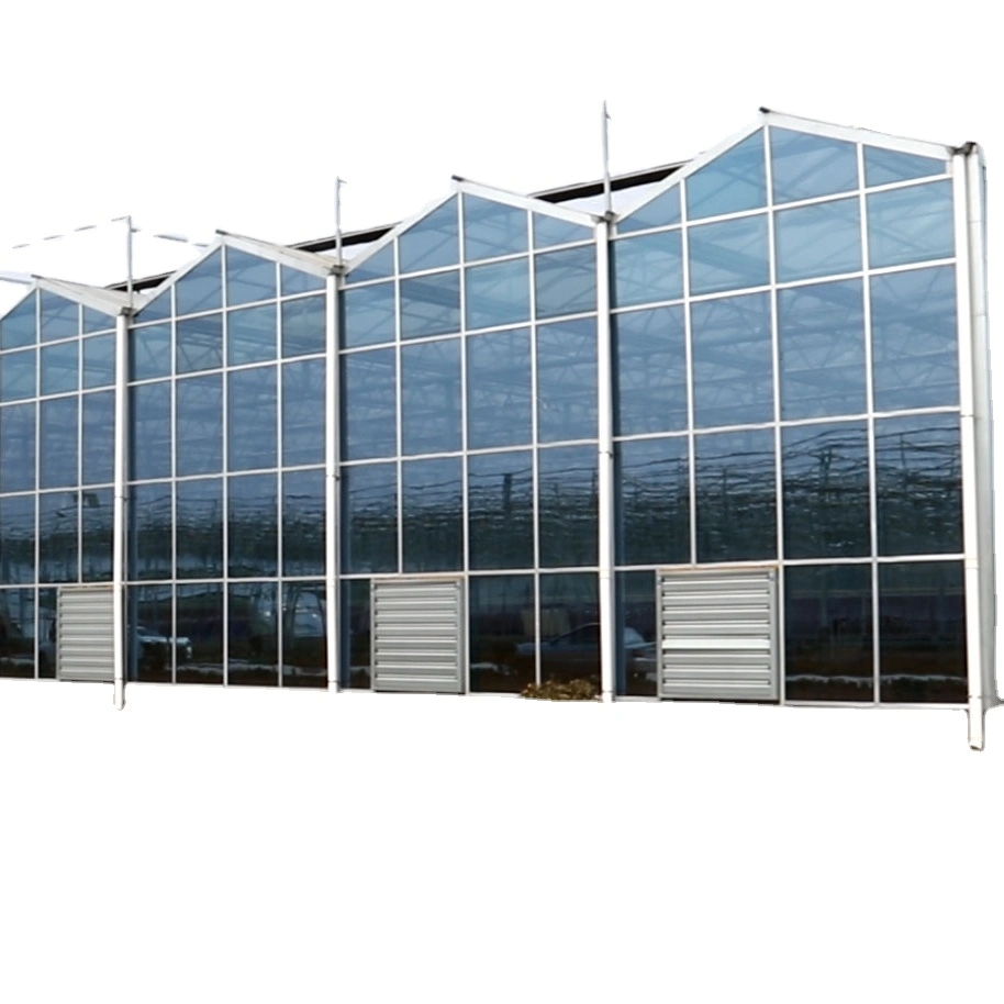 High quality/High cost performance Large Xinhe Customized Container House Prefab Prefabricated Float Glass Greenhouse