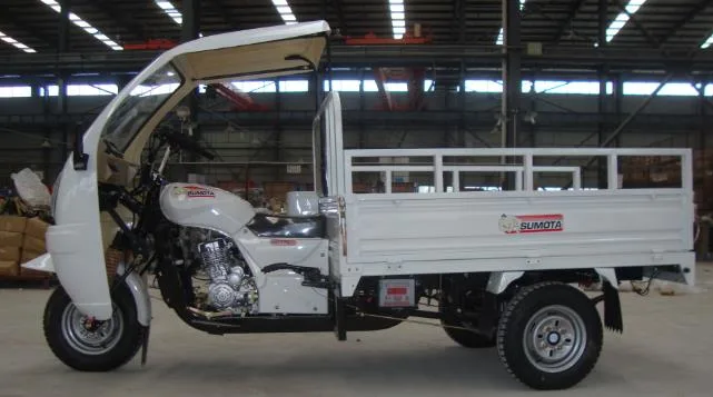 China fábrica adultos cargo Motorcar a Brasil Trike Auto Rickshaw Tricycles eléctricos