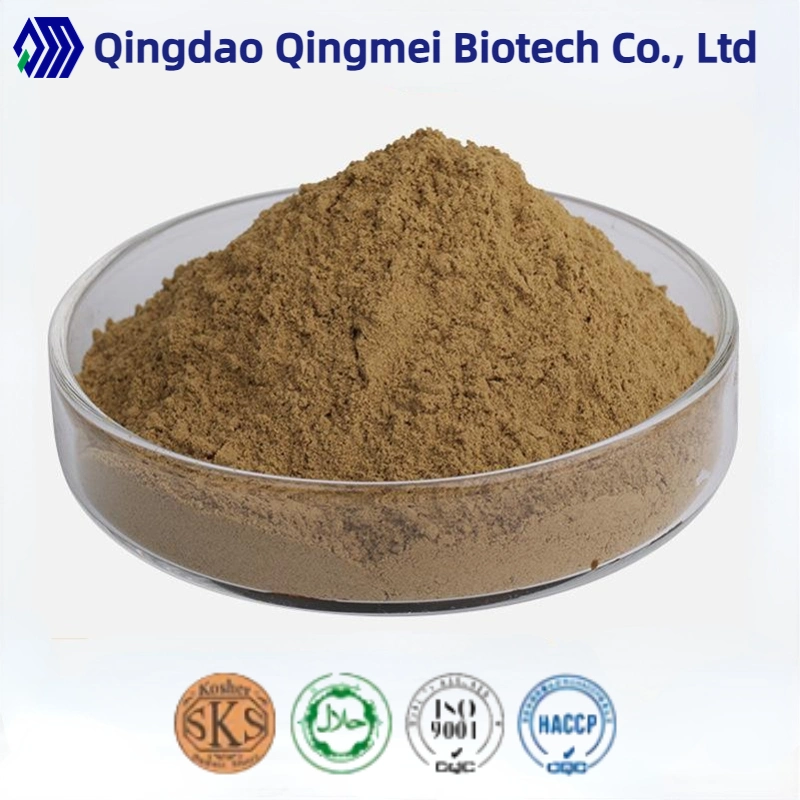 Natural Plant Extract Pseudoleaf Root False Leaf Tree Extract