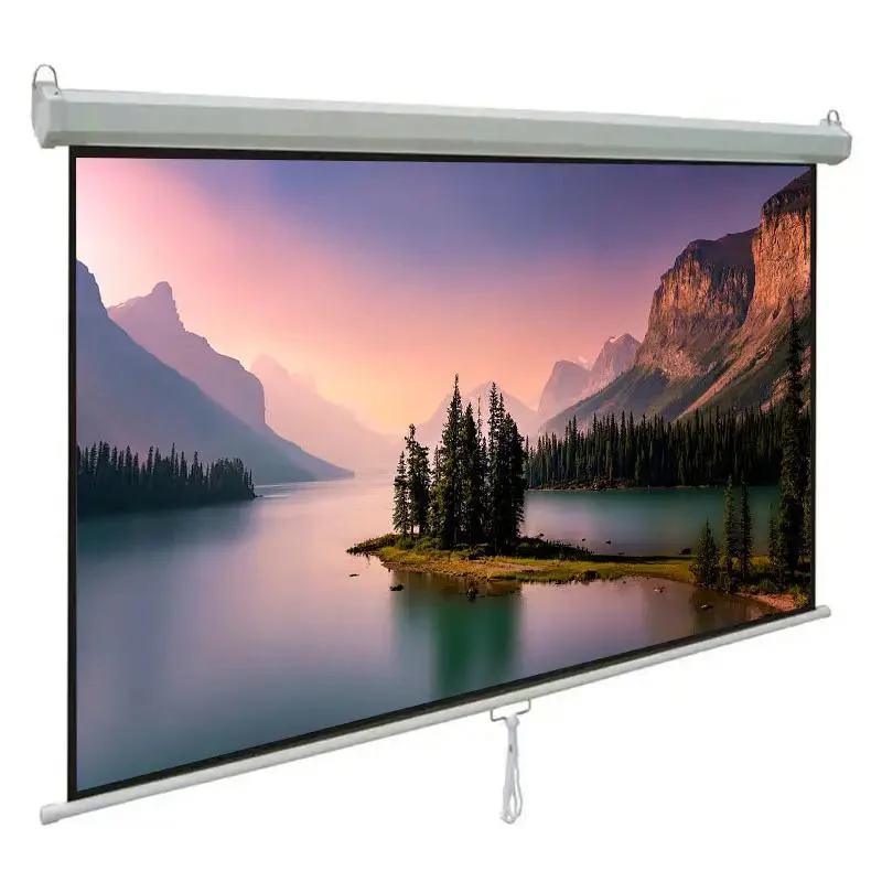 Wall Mount Manual Projector Screen Pull Down Projection Screen