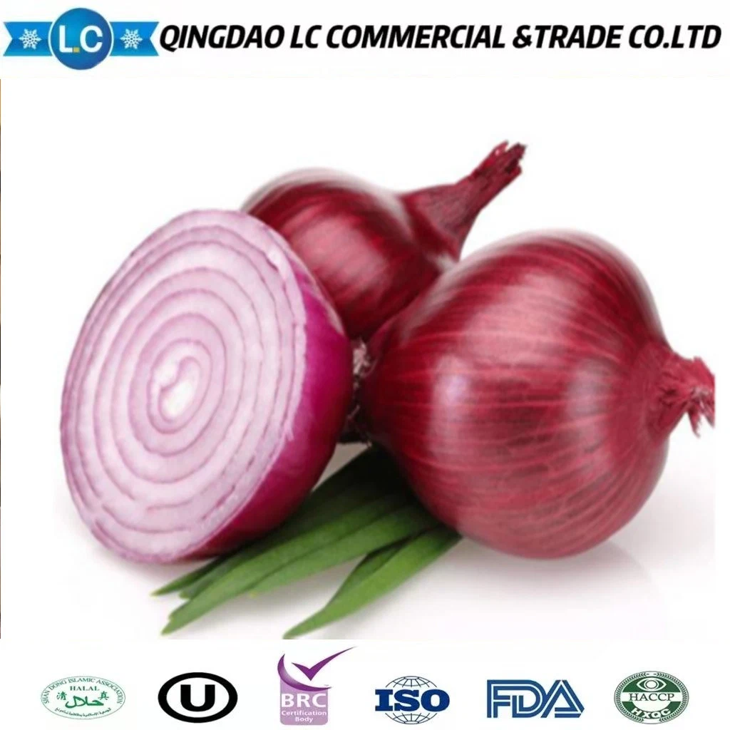 IQF/Frozen Onion Dices From China