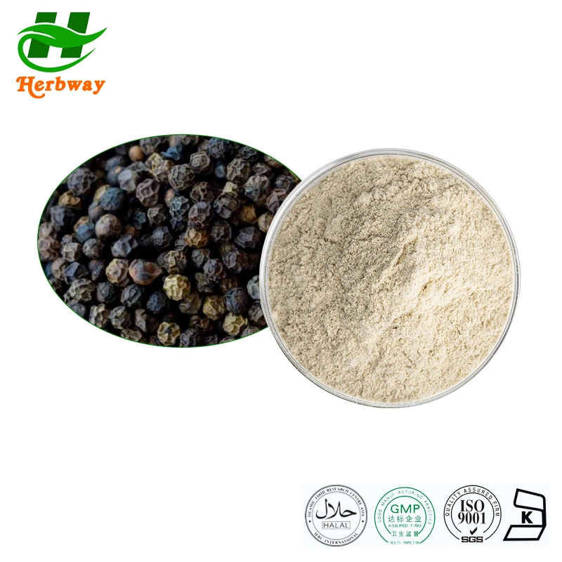 Herbway Chinese Supplier EU Organic Herb Extract Black Pepper Extract Piper Nigrum Extract Powder 95%98%Piperine