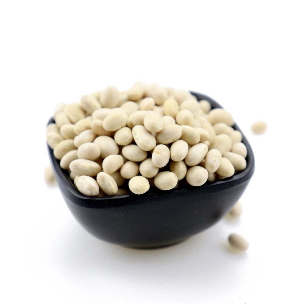 Healthy High quality/High cost performance  Red and White Kidney Beans Price for Sell