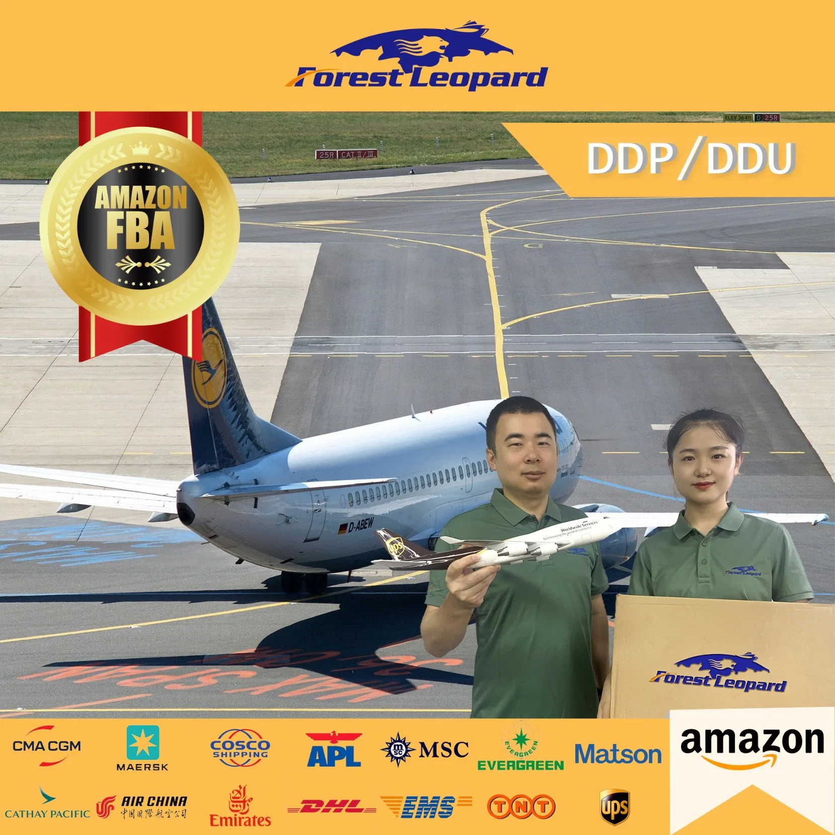 International Shenzhen Logistic Forwarder DHL International Air Freight Cheap Shipping Rates From China to USA