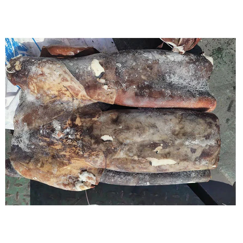 Good Quality Seafood Sea Frozen Giant Squid Tube 2-4kg for Vietnam