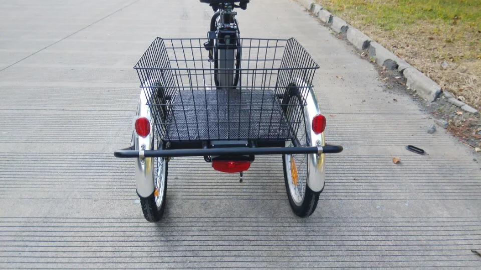 Большой размер электрического Trike при работе двигателя на электрический велосипед компании