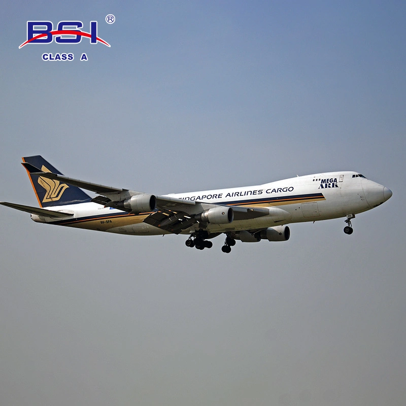 تقدم الشركة الوطنية الصينية AAAAA اللوجيستية الشحن الجوي والبحري خدمة من الباب إلى الباب من الصين إلى دبي (DXB) / هاتف تل أبيب الرياض (RUH) / مومباي (BOM)