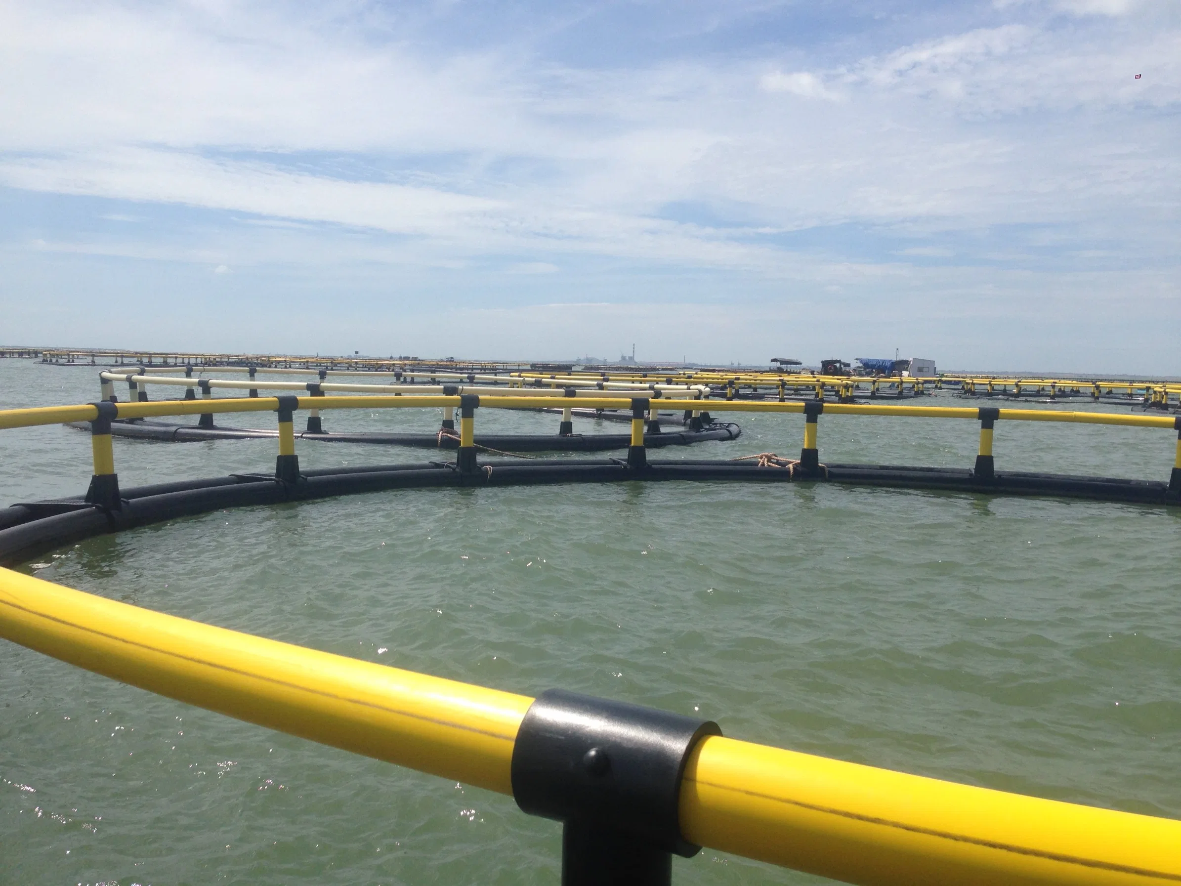 Équipement de cages flottantes de haute qualité en PEHD pour l'aquaculture de poissons, pour les cages de pêche au tilapia de 50m