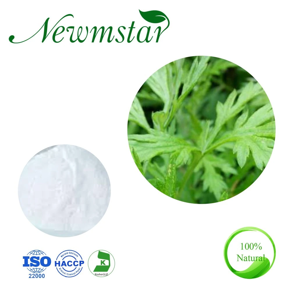 Extracto herbario antibacteriano/ Grado farmacéutico Artemisinina 98% Extracto de Artemisia Annua / 4: 1~20: 1 Extracto de Artemisia Annua