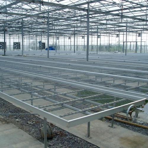 Niedriger Preis Standard Maßgeschneiderte Gewächshäuser Multi Span Landwirtschaftliche Gewächshaus Gartenbau Gartenprodukte Baumschule Saatbett Xinhe