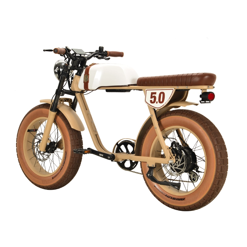 New Arrival 1000 Watts Electric Bike 5.0 X 20 Inch Fat Tire 48V 20ah Lithium Battery