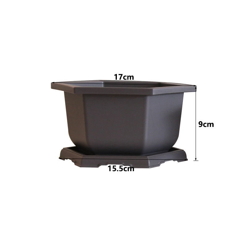 Chinese Factory Directly Wholesale/Supplier New Hexangular Bonsai Pot for Training Plants