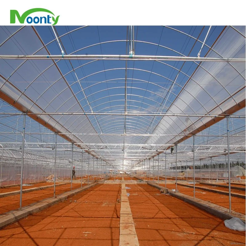 Agriculture Double Layer Film 4 Seasons Greenhouse Double Truss Hot Steel Frame