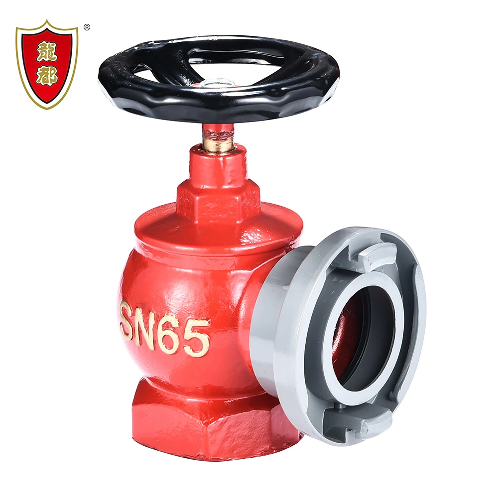 DN65 2.5'' Ductile Iron Rotary Body Indoor Fire Hydrant Valve with Removable Coupling