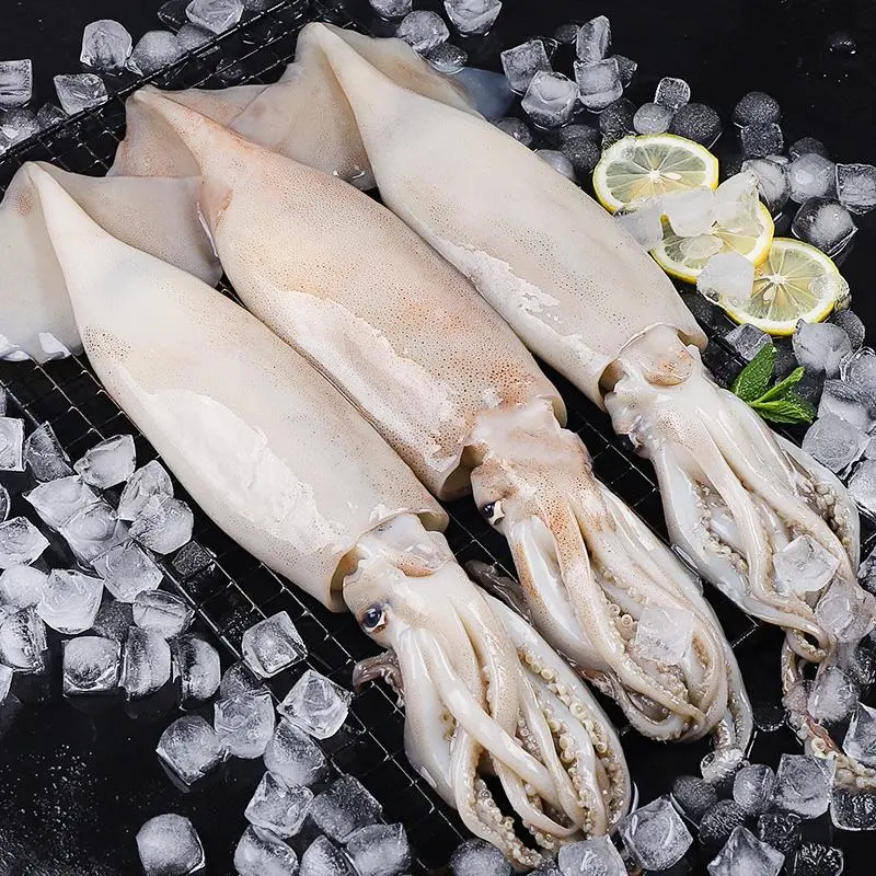 Frozen Squid with Vetetable String High quality/High cost performance Health Seafood Lllex Giant Squid Product Japanese Squid