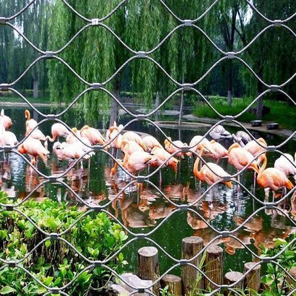 Cuerda de alambre de acero inoxidable del Zoo de malla malla malla pajarera/Alojamiento/Animal