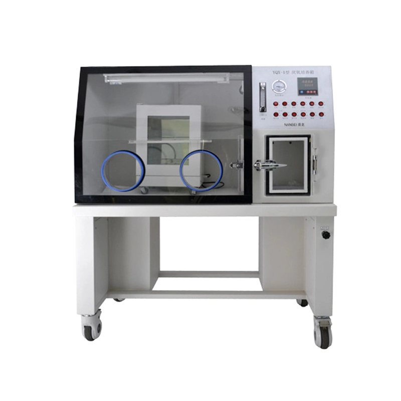 Nanbei Hospital Medical Anaerobic Incubator with Ce