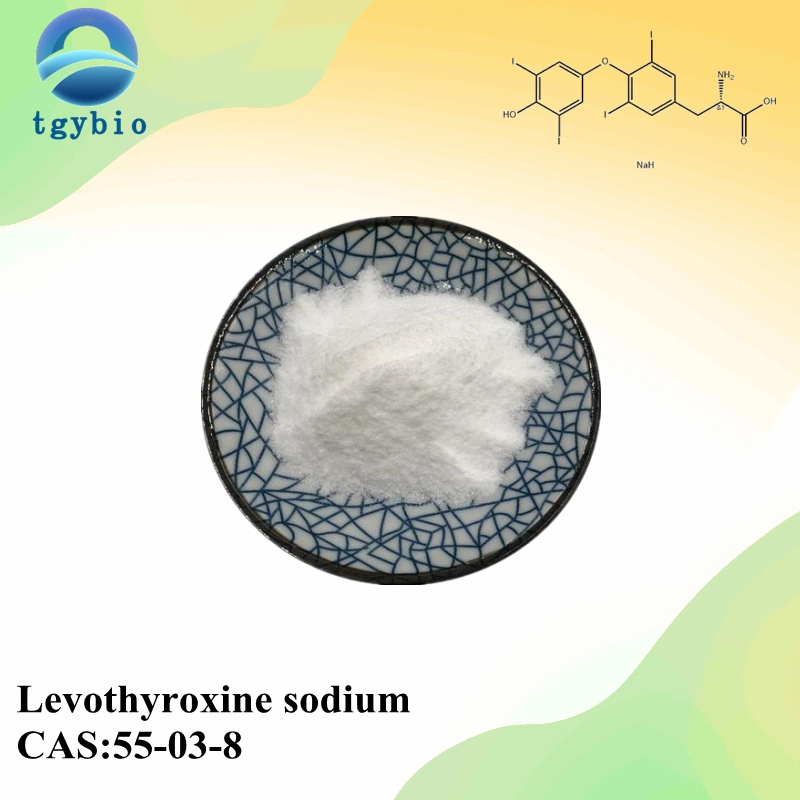 Weight Loss CAS 55-03-8 Levothyroxine Sodium T4