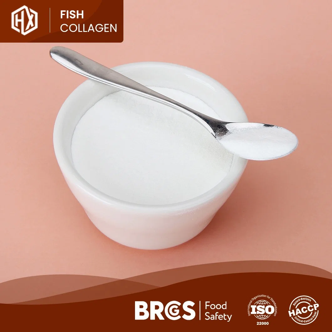 Haoxiang High quality/High cost performance Pure Hydrolyzed Marine Tilapia Scales Peptide Fish Collagen Powder Peptide 500-1000dal/300-500dal Molecular Weight Collagen Powder