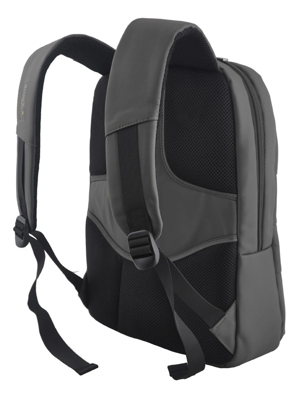 Fashion Backpack Computer Laptop Bag (SB6608)