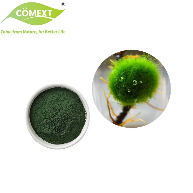 Comext Hot Selling Lower Blood Fat Nutritional Supplement Chlorella Vulgaris Powder Chlorella