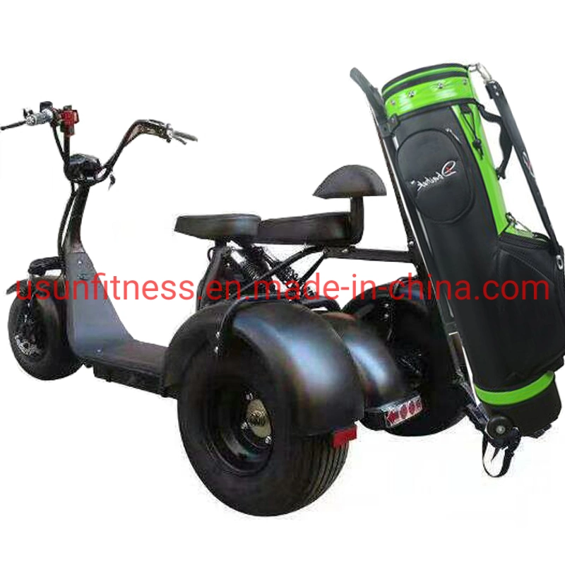 La caza de Buggy eléctrico. Dos asientos, cochecito de golf, off road Buggy, Campo de Golf de ATV Moto triciclo para adultos