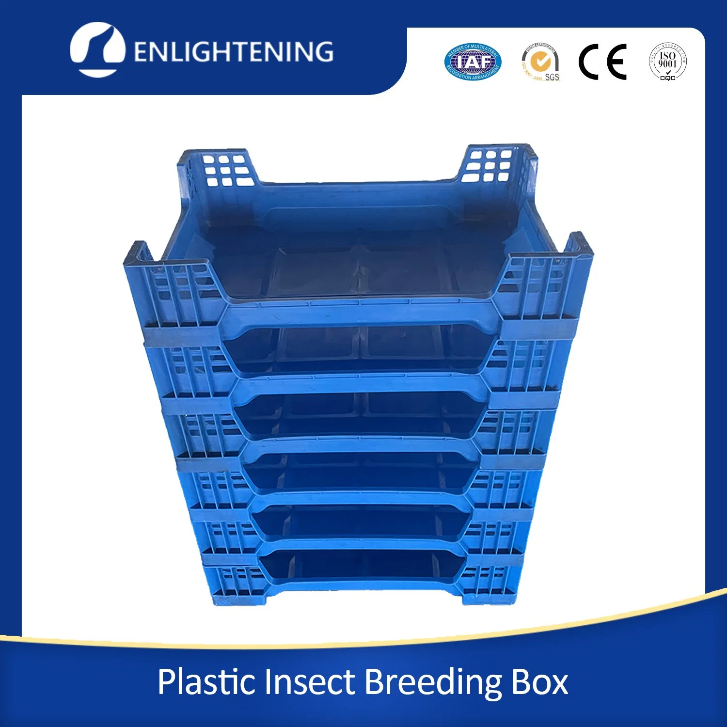 100% PP 60X40X14.5cm Plastic XL Bsf Insect Breeding Box Black Soldier Fly Larva and Mealworm Cultivation Maggot Redworms Barley Worms Silkworms Hornworm Waxworm