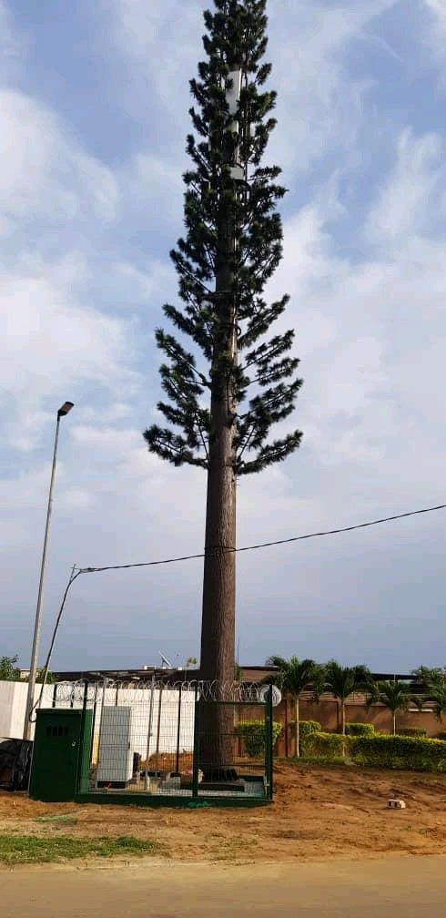 Camouflage Steel Tube Monopole Antenna Palm or Pine Tree Tower