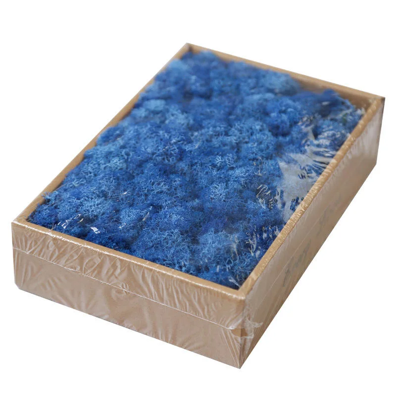 Best Selling Stabilized Preserved Eternal Lichen Reindeer Moss Office Decoration Muschio