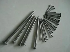 Clavos de cabeza redonda común de alta calidad (3/8"-7")