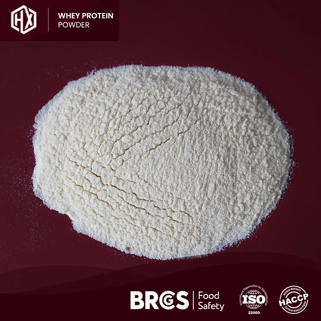 Haoxiang Hausmarke Bio Gras Fed Whey Protein Isolate Milchprodukte White Powder Nahrungsergänzungsmittel Whey Protein Powder Fabrik Kollagen Molke Proteinpulver