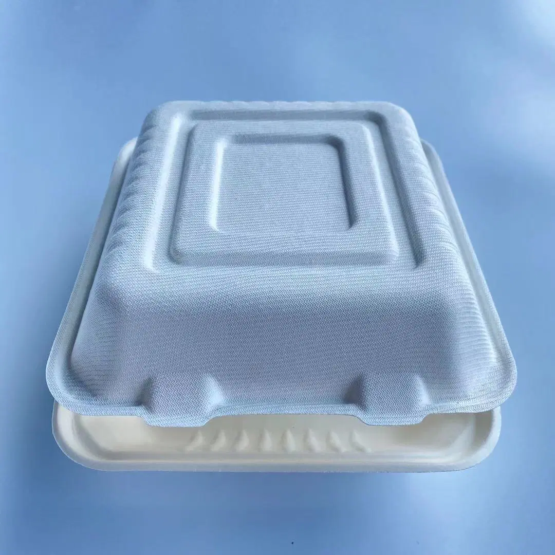 La pâte de canne à sucre Maïs Matériel 100% biodégradable compostable récipient alimentaire