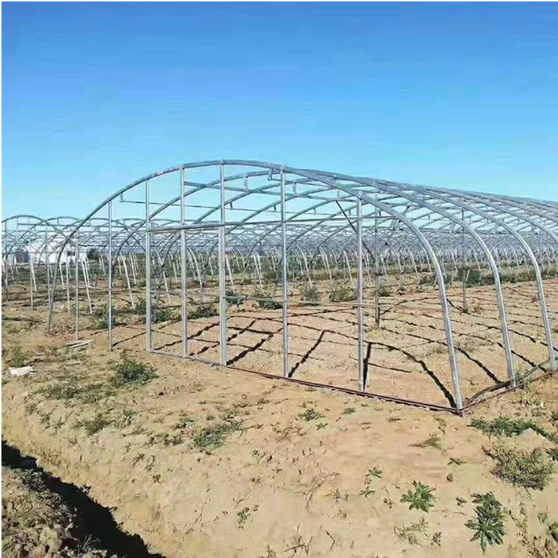 Customized Oval Tube Greenhouse for Vegetables, Fruits, Flowers, Pepper, and Tomato