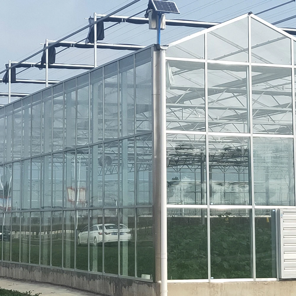 Modern Agriculture/Commercial Multispan-Glass Greenhouse with Hydroponics System Cooling/Heating System