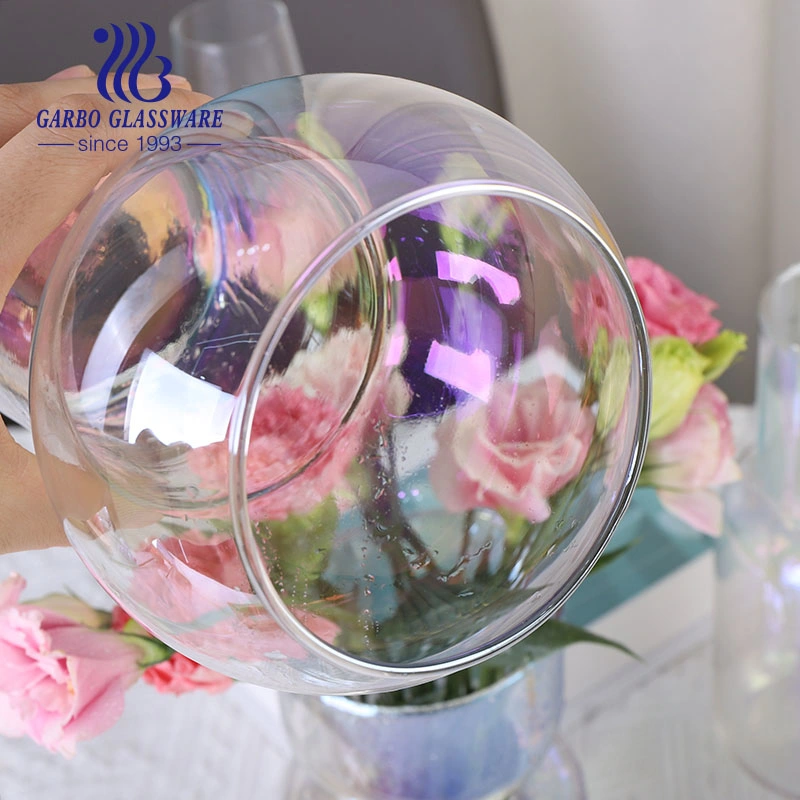 Flower Vase Iron Electroplating Color Custom Color Design Glass Vase Home Decor