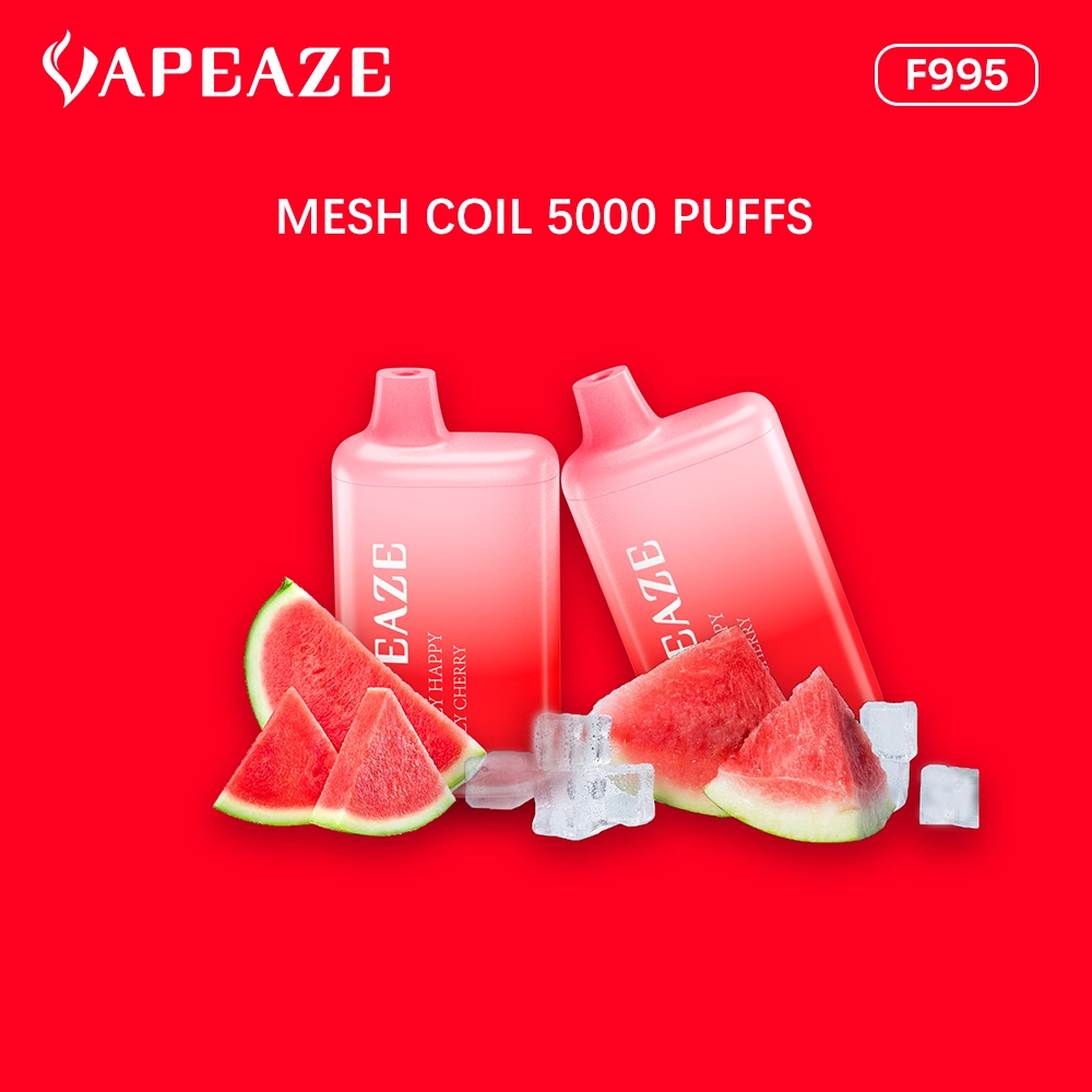 Vapeaze OEM/ODM Disposable/Chargeable Refilling Vape with 6000 Puffs Fruit Flavors Factory Disposable/Chargeable Electronic