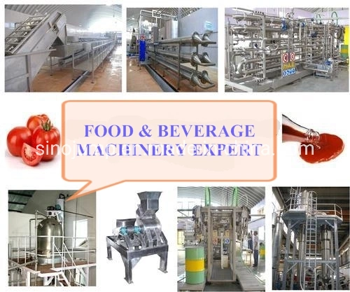 5000 Bottle Per Hour Pineapple Fruit Juice Drinking Processing Line