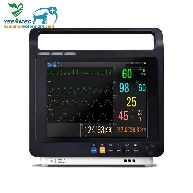 Medical Equipment Yspm-A10V Multi-Parameter Veterinary Monitor with 12 Inch Touch Screen