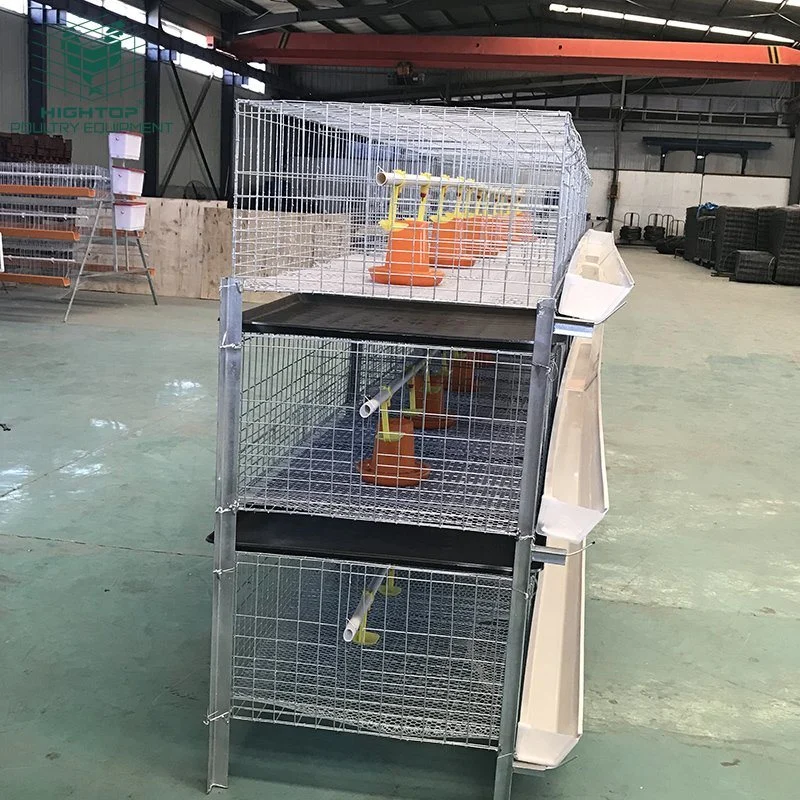 Large Poultry System Used Poultry Breeding Equipment Broiler Chicken Cage