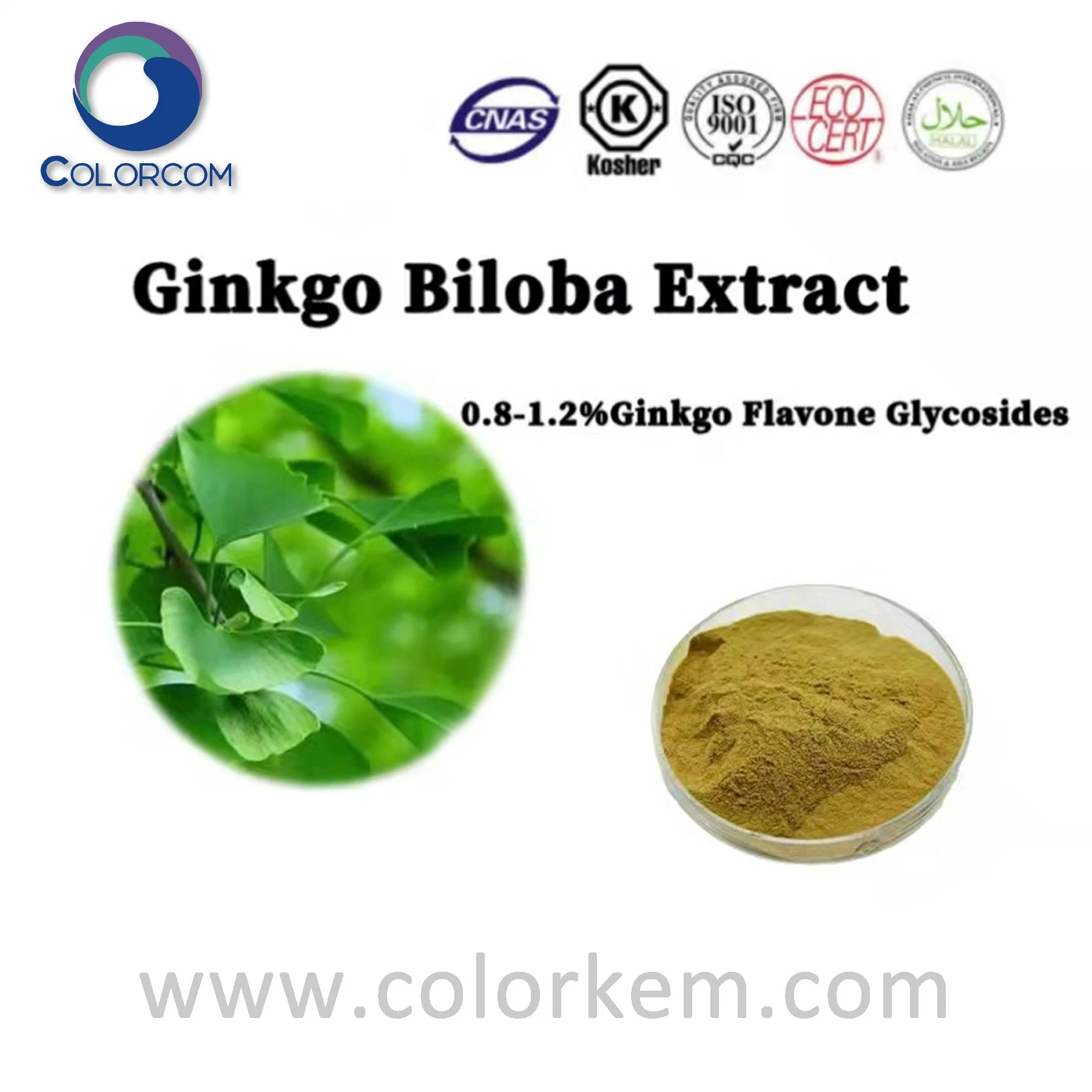 Ginkgo biloba استخراج 0.8-1.2 ٪ Ginkgo Flavone glycoides CAS 90045-36-6