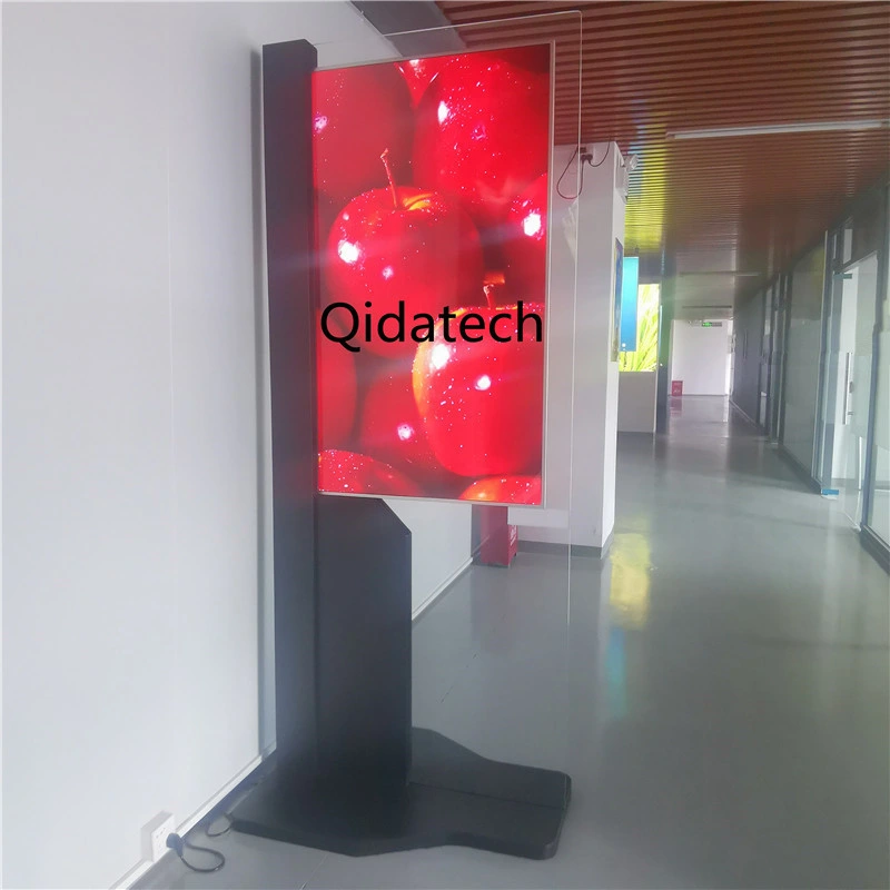 Manufacture Good Quality 55" Double Sides OLED Display