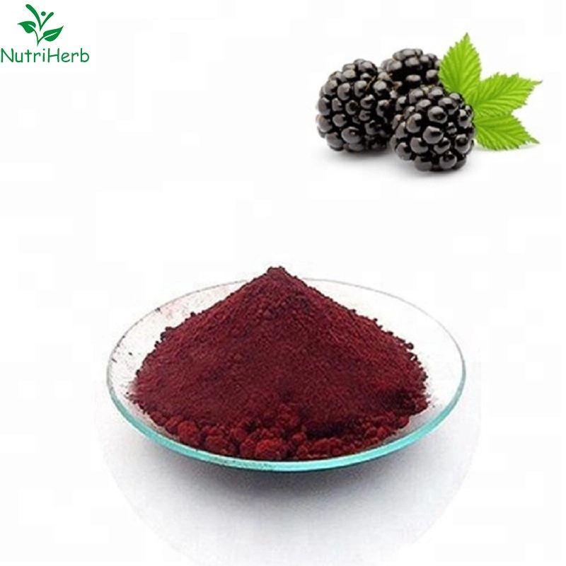 Natural Food Grade Blackberry Powder Organic Blackberry Powder Juice Powder