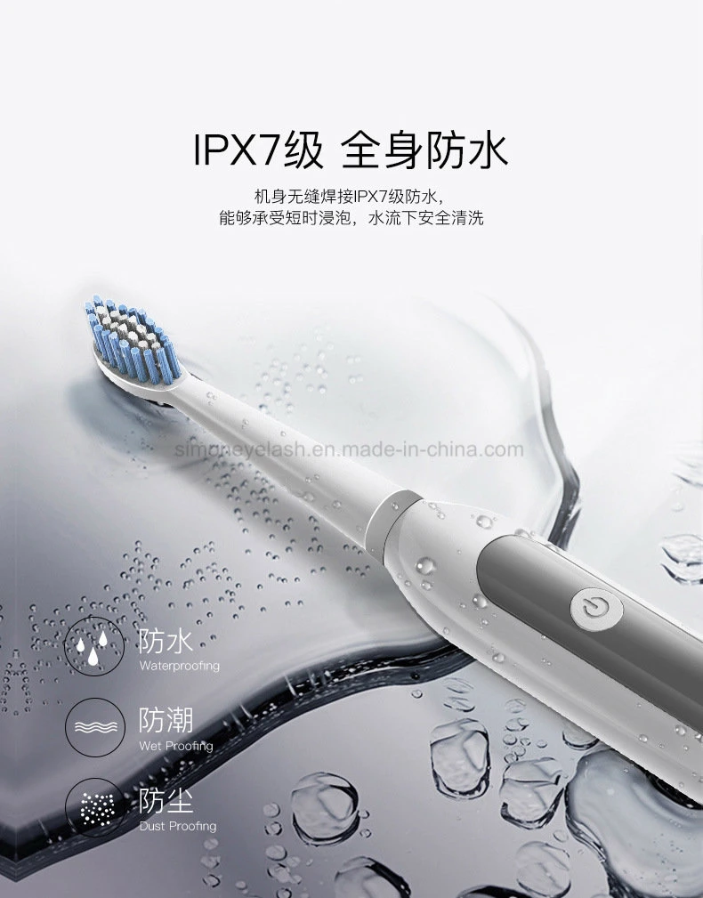 Wholesale/Supplier Sonic Toothbrush Adult OEM Electric Toothbrush