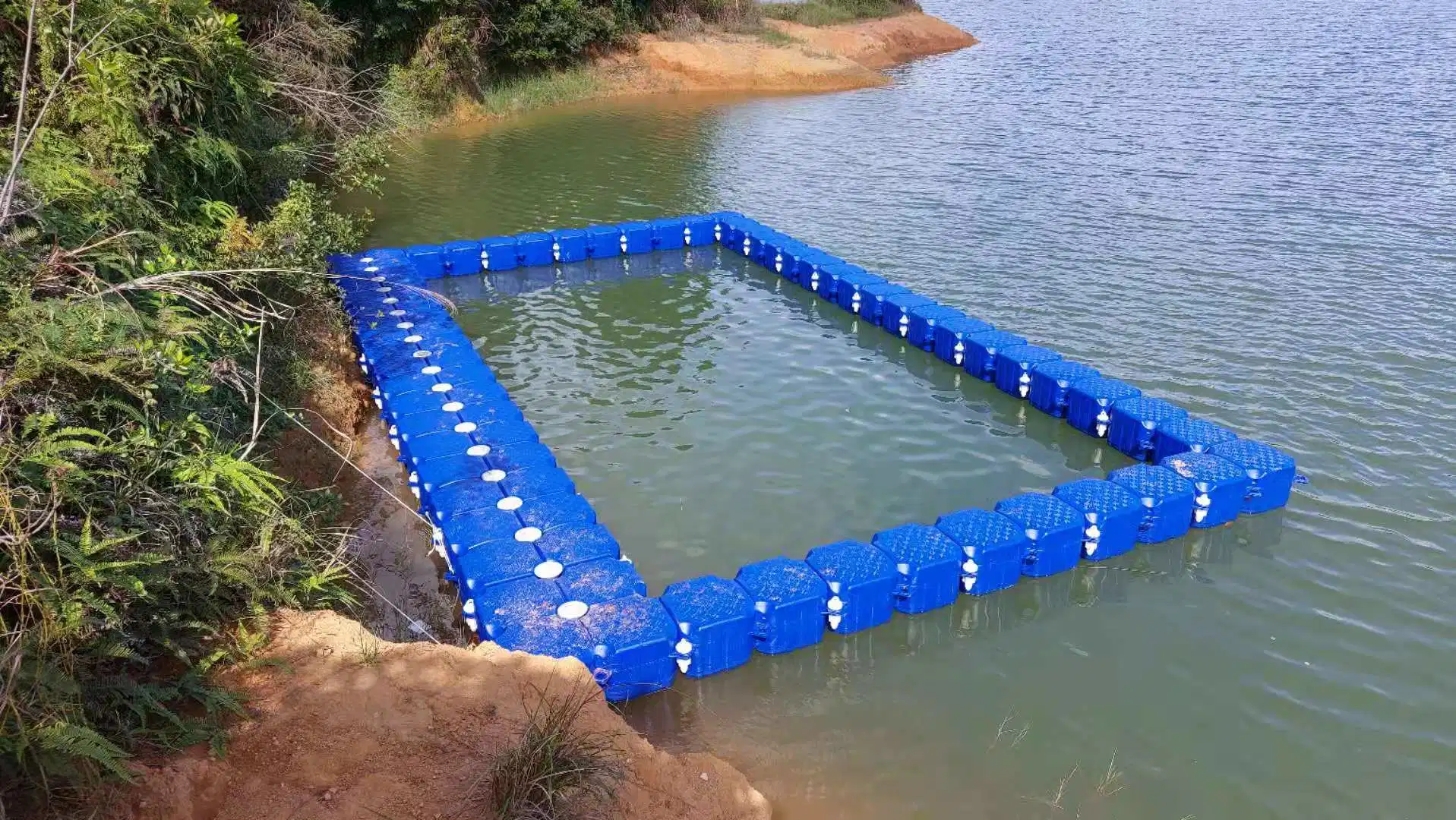 Agriculture Floating Fish Farm in The Sea with Nets