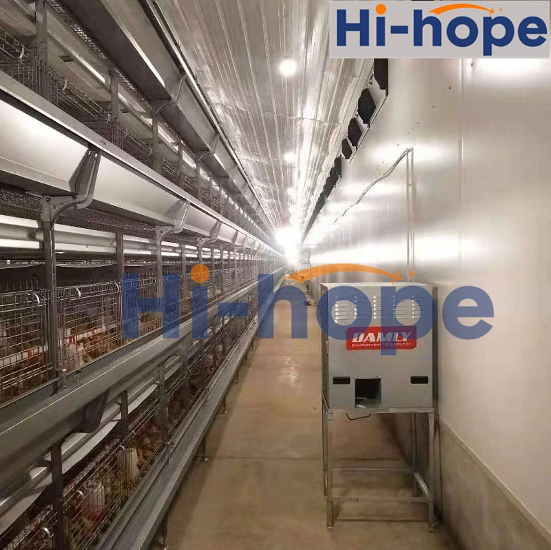 Auto Poultry Farm Layer Cage Drinking System for Chicken House