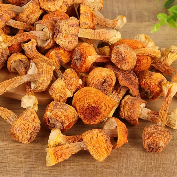 Ji Song Rong 100% Natural Herbal Food Dried Agaricus Blazei Murrill with Good Taste