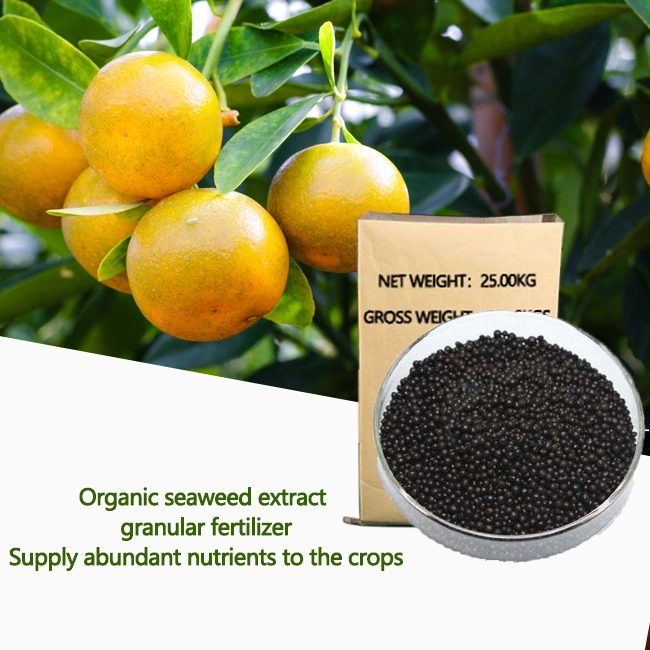 Seaweed Granular Fertilizer7-3-3 organic fertilizer seaweed extract fertilizer 2022 Hot new product