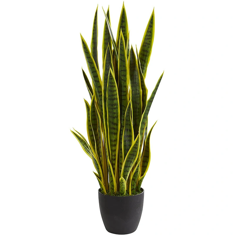 Quase 35 Natural. Sansevieria Plantas de seda artificial, Amarelo