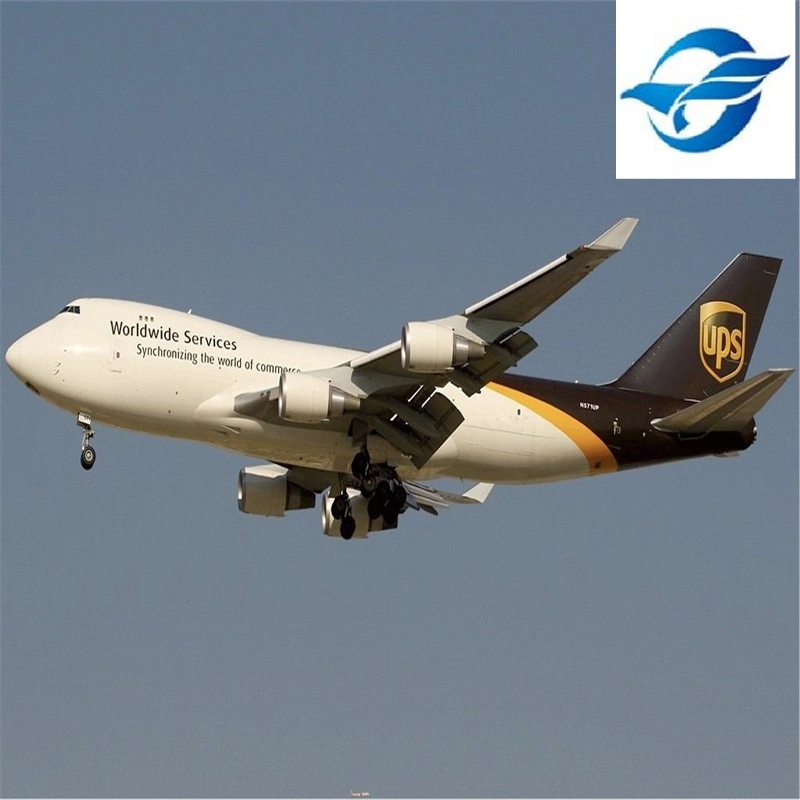 International Air Logistics Agent Shipping to Ecuador Freight Forwarder